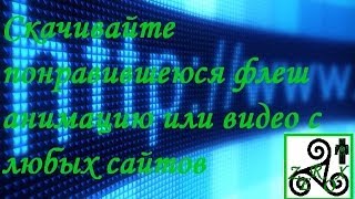 как сохранить видео с сайта флеш