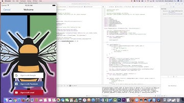 iOS Firebase Login Customization via Subclassing