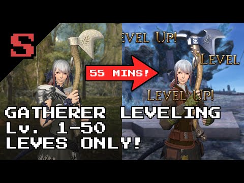 (FFXIV) Gatherer Leveling (Lv. 1-50) - LEVES ONLY
