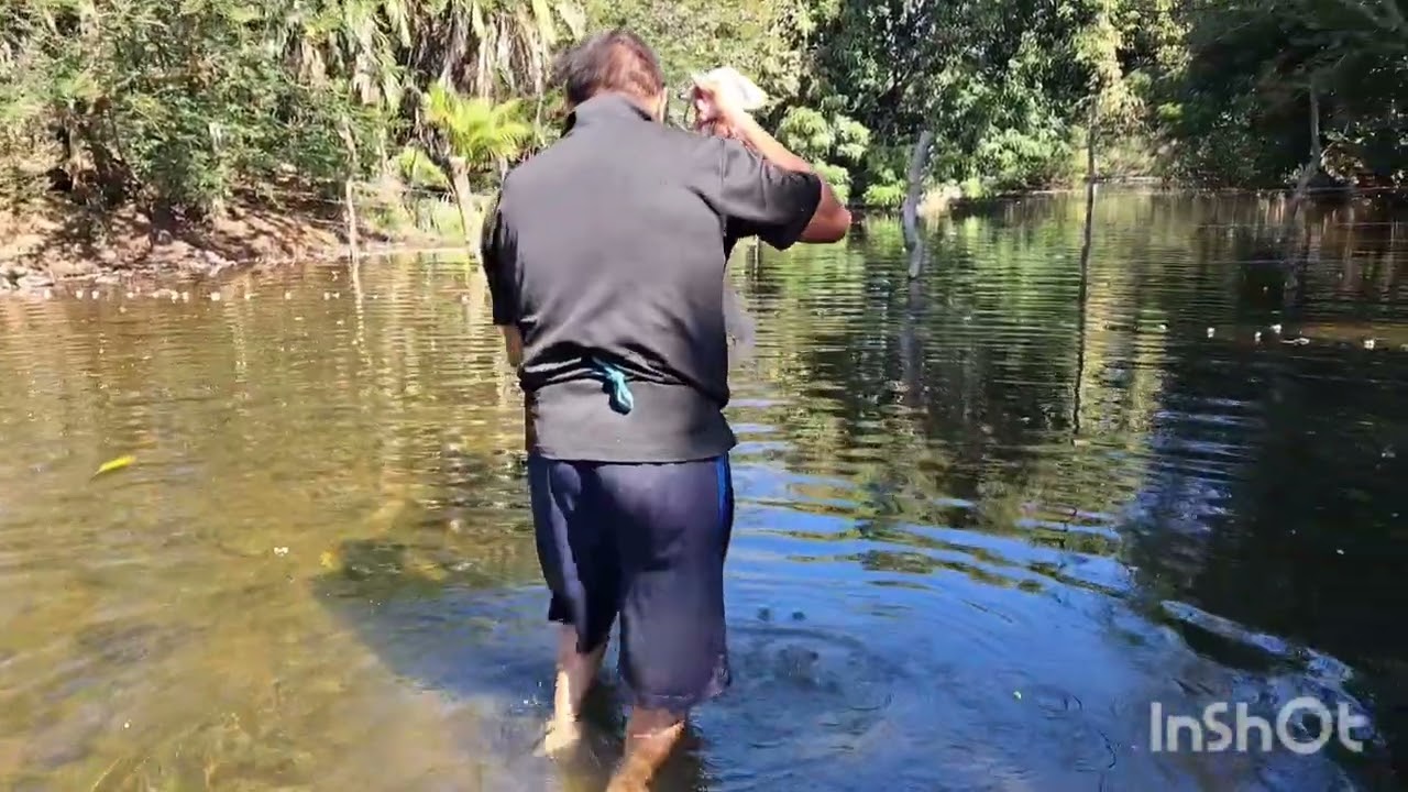 Vean adon chungo😯 hoy se fue de pesca🐬 🦀