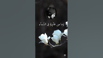 ماتيسر من سورة النمل 🌱بصوت القارئ إ#اسلام_صبحي 🎧🌱