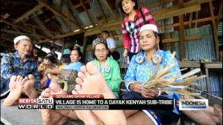 Download Lagu Village is Home to a Dayak Kenyah Sub Tribe MP3