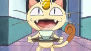 13 Pokemon Chronicles Training Daze