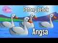 Lagu Anak Terbaru " Potong Bebek Angsa " animasi Bebek Angsa, Bebek nyosor, Bebek berenang