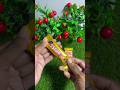 5 star & Nestle Classic chocolate popsicle unboxing #shorts #asmr #ytshorts #shortsfeed