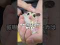 威嚇するモモンガは○○だから触ります。
