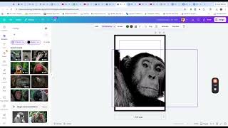Canva animal sticker screenshot 3