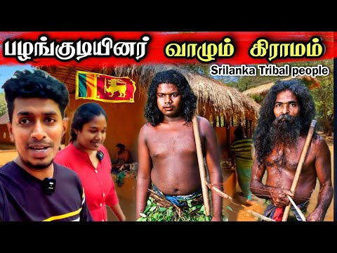 இலங்கையில் ஆதிகால பழங்குடியினர் வாழும் கிராமம் 😍|   இலங்கை ஒரு தமிழ்நாடா?🏡😮Srilanka Tribal people 🇱🇰