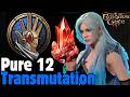 PURE 12 Transmutation Wizard Build in Baldur's Gate 3