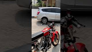 Stori wa//cb//tiger//c70/#SHORTS