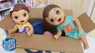 BABY ALIVE GÊMEOS LAURINHA E FELIPINHO ENTRARAM NA CAIXA QUE RECEBERAM