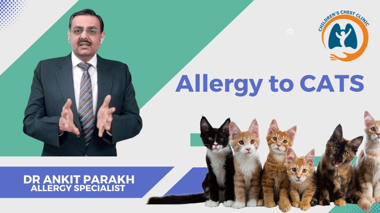 Allergy to Cats in children: Symptoms, diagnosis & treatment