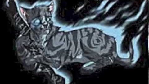 Jayfeather: Everybody