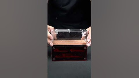 The Myrmeco I Ant Nest. A perfect home for your new ant colony. 🔍 Browse more at antshq.co.uk #ants