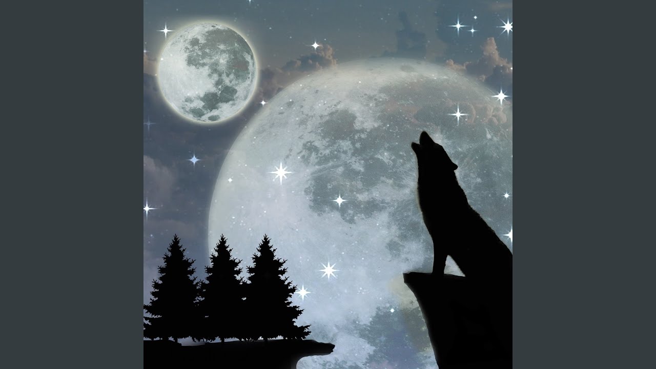 всемирный день воя на луну. волк и луна. волк и луна. музыка воют на луну. ночь воя на луну.