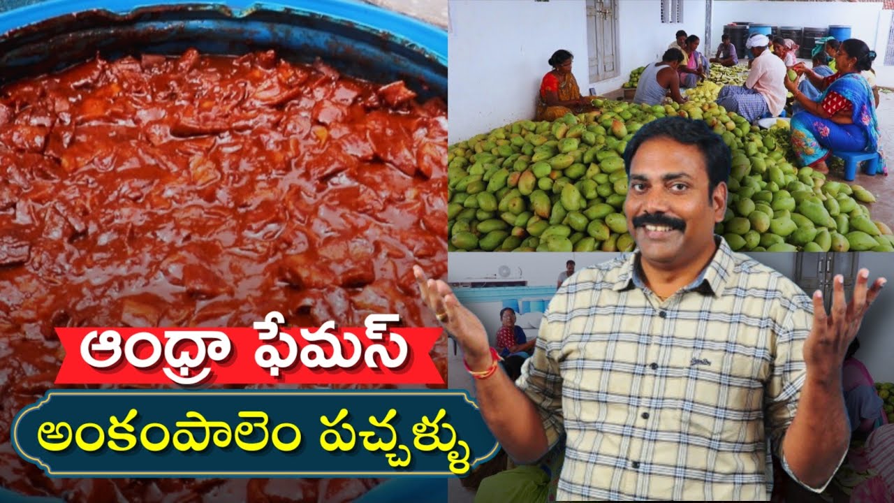 Andhra Famous Ankampalem pickles | Mango pickle making | Sweet mango pickle | Konaseema Kaburlu