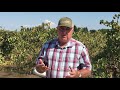Sustainable groundwater recharging