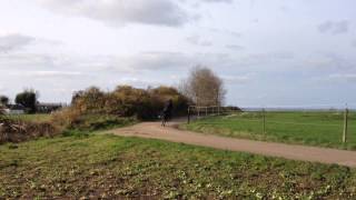 Hildingur Oktober 2014