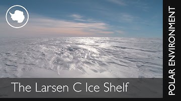 The Larsen C Ice Shelf: The Thinning