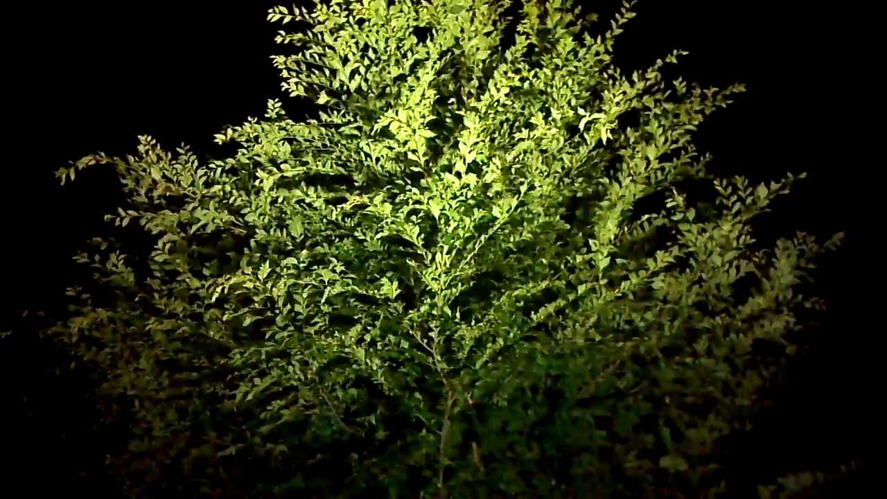 New 72 Watt LED SUPER Work Light Demo