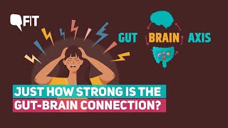 The Gut-Brain Axis: How strong is the connection between your gut and your mental health?| The Quint