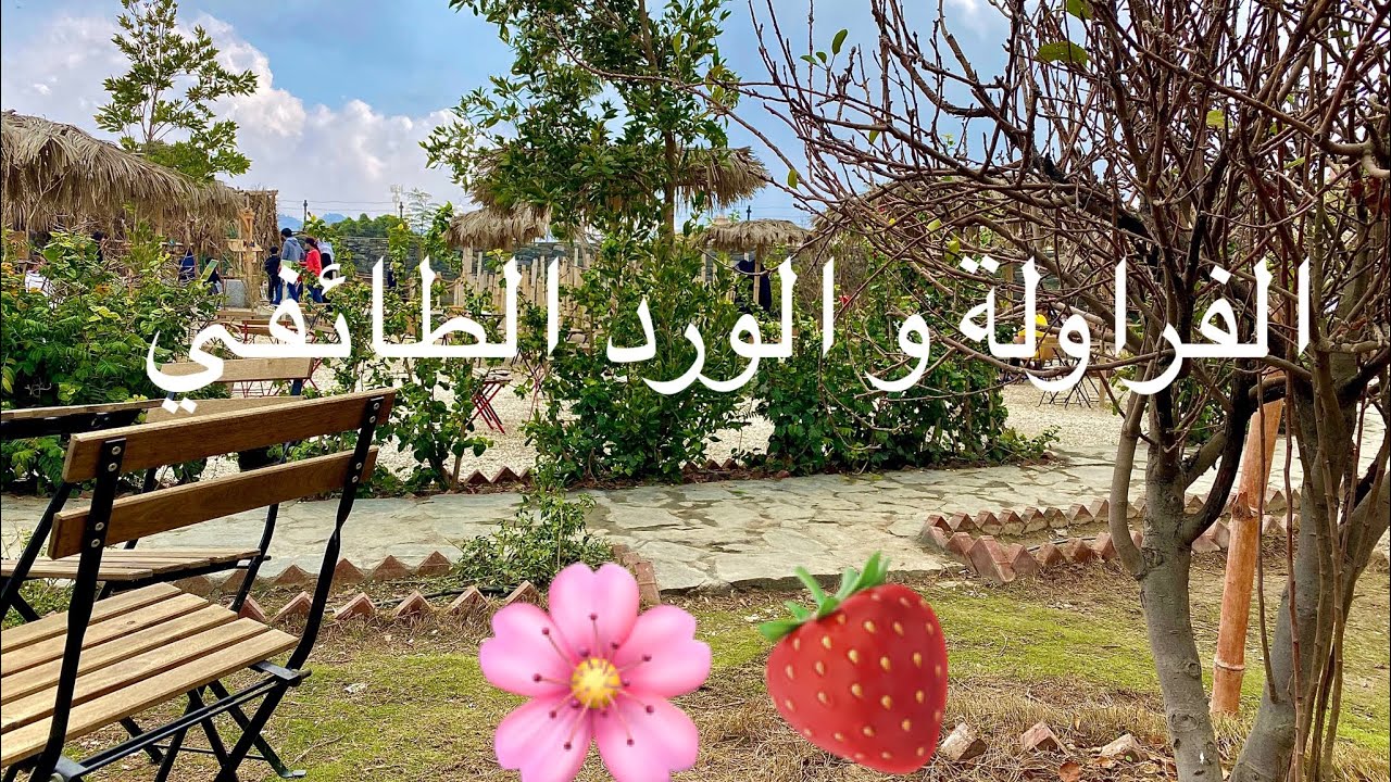 حديقه الورود الطائف