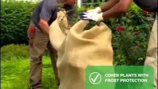 How to Protect Trees & Shrubs from Weather Damage