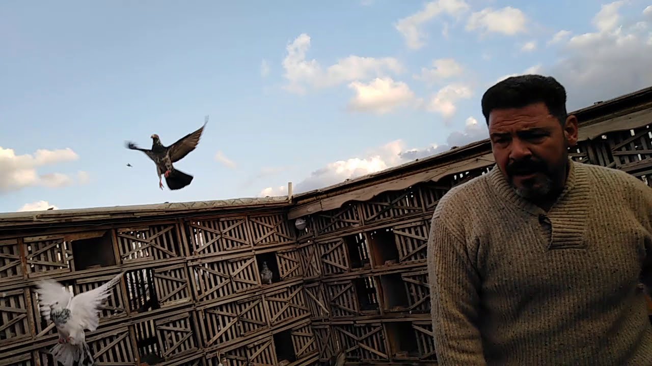 لوحمامك شخور عتعمل ايه اهداء لنشيشة العالم#احمدماكو والحمام احلى حاجه في الدنيا