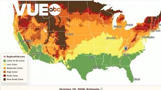 Interactive map shows fall foliage across US
