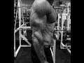 Musculation : prise de masse pour les bras (biceps/triceps) en superset.