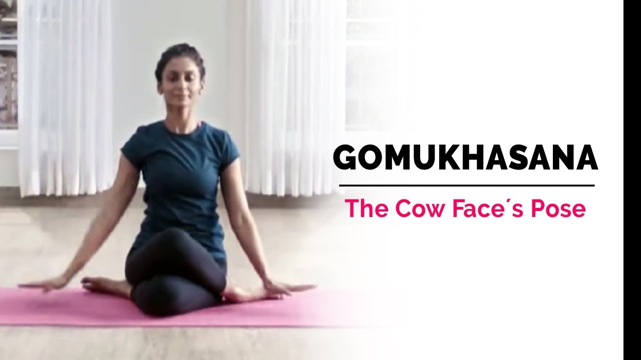 Gomukhasana Cow Face Yoga Pose Steps Benefits Yogic Fitness Youtube