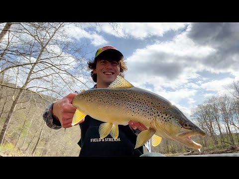 brown trout rapala lure Original Floating the Countdown can get you to them consistently Rapala Jointed Floating Lures J011