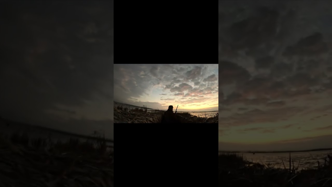 Crazy Arkansas duck hunt 