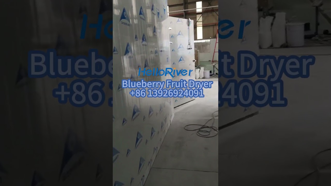 Electrical Heat Pump Blueberry Fruit Dryer Indusrtrial Fruit and Vegetable Dehydrator Easy Install