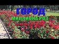 Город МИЛЛИОНА РОЗ. Как сегодня выглядит Донецк.