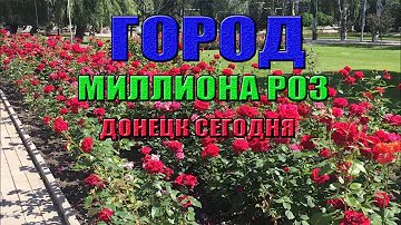 Город МИЛЛИОНА РОЗ. Как сегодня выглядит Донецк.