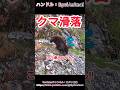 クマが崖で脚をすべらせて滑落していったぞ！！#熊 #animals #動物 #おもしろ