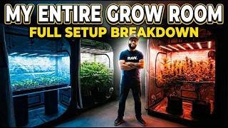 Full Grow Room Tour How I Run A Perpetual Harvest