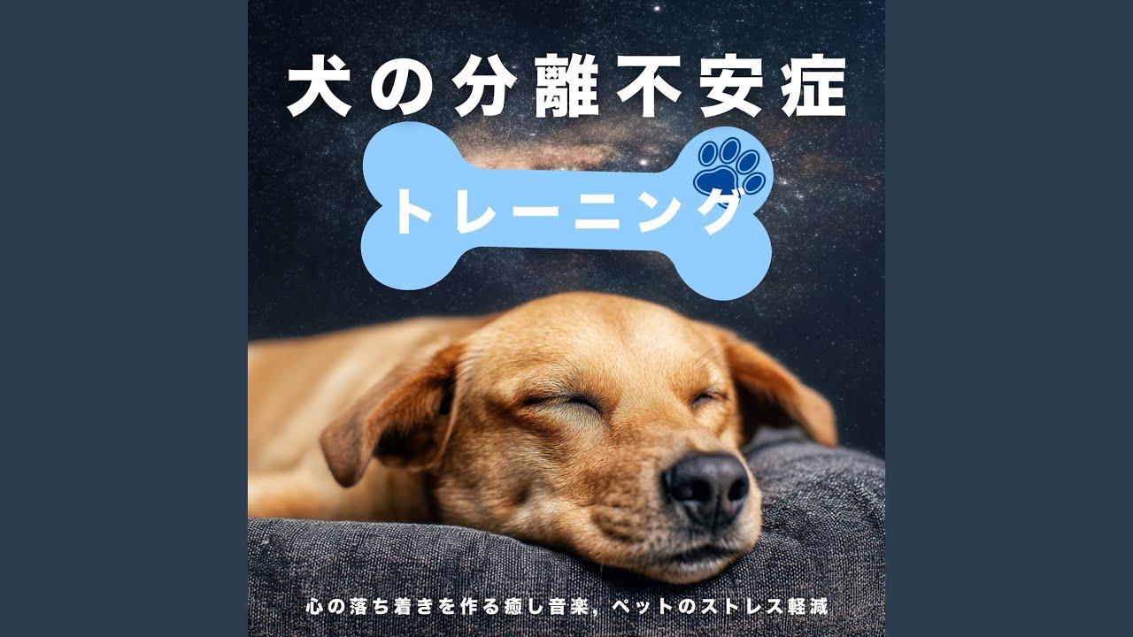 【中古】 幸福の波動があなたを救う ヒーリング-潜在意識を浄化する波動- - YouTube