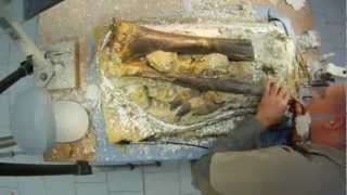 Plateosaurus Dinosaur Preparation Time-Lapse Dinopark Münchehagen 2011