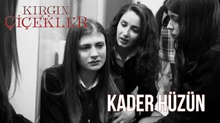 Kırgın Çiçekler (Dizi Müzikleri) - Kader Hüzün Resimi