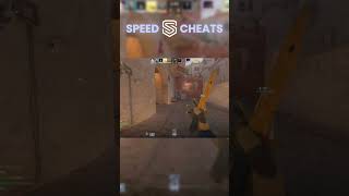 BUY - SpeedCheats.pl #cs2 #hvh #fatality #midnight #neverlose #faceit
