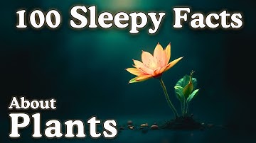 The Most Relaxing Facts About Plants to Fall Asleep To