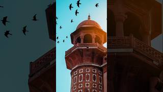 Islamic_Video #IslamicShanti #islamicvideo #islamforall #islamicknowledge
