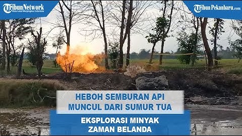 Semburan Api Muncul dari Sumur Tua Eksplorasi Minyak Zaman Belanda, Warga Gagal Panen