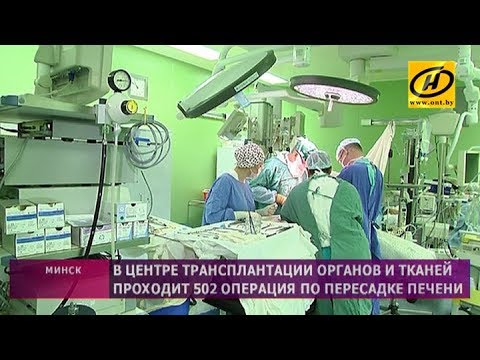 Более 500 пересадок печени провели в Центре трансплантации органов и тканей