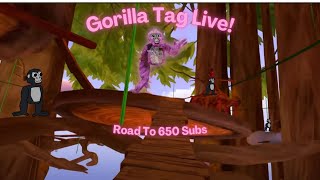 Gorilla Tag Live (Fancodes) Road to 650! New Clouds!!