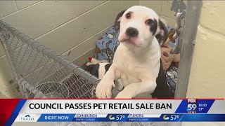 Indianapolis city-county council passes pet store sales ban