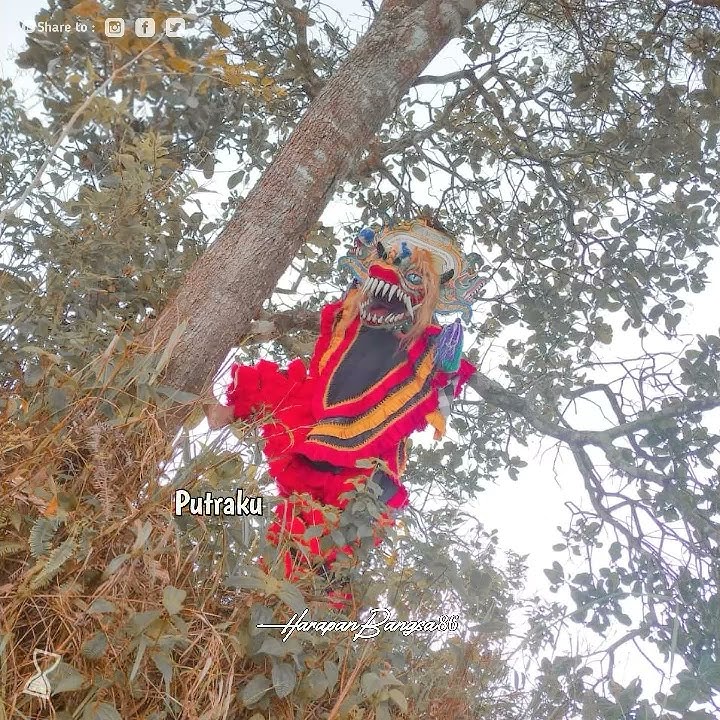 Story WA Jaranan Ande Ande Lumut 30 Detik || story Jaranan 2020