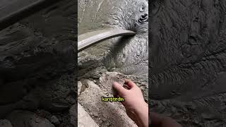 Zehirli Sıvı Paniğe Neden Oldu Herkes Kaçtı